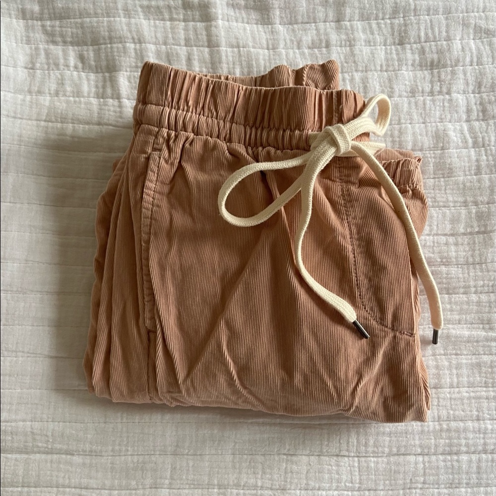 American Eagle corduroy pink pants